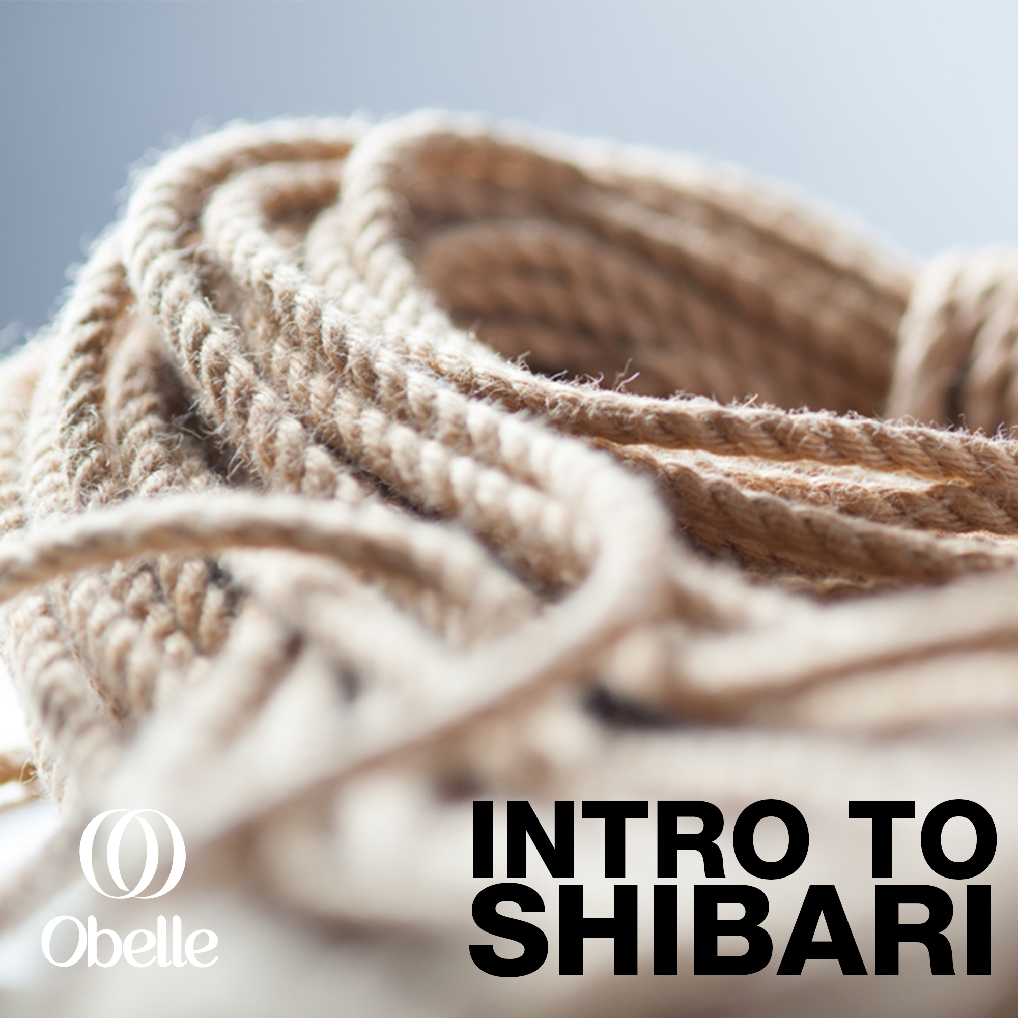 Introduction to Rope, Shibari, 101